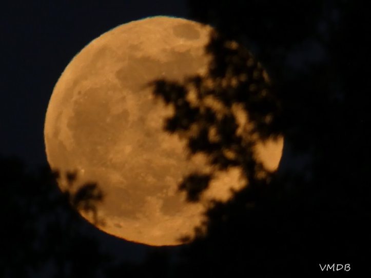 82040251_3053091918057177_8515844494883553280_n