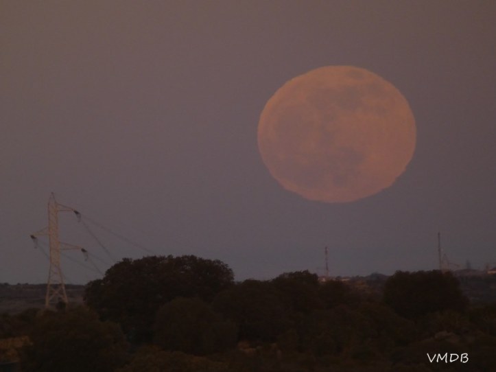 82397733_3053090828057286_8504849022123507712_n