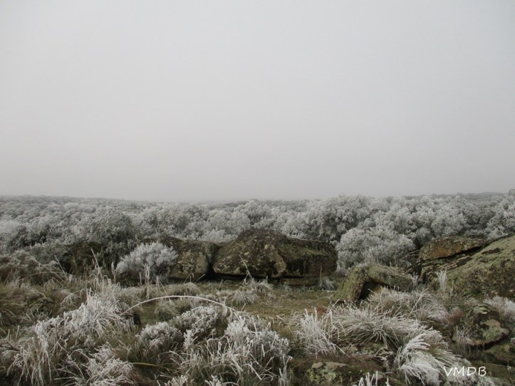 82583418_3059395360760166_8768571966991892480_n