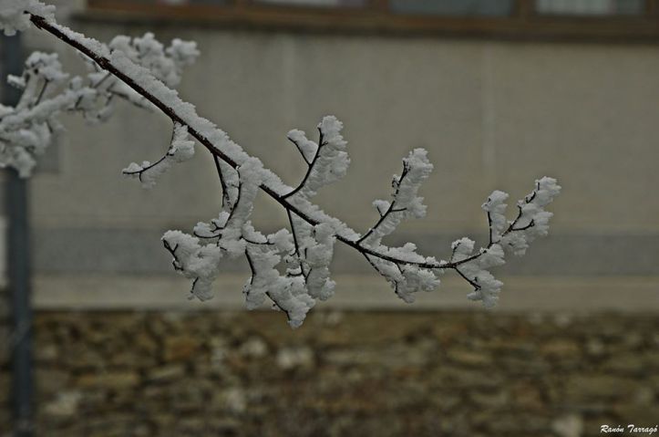 82728921_3092571534089885_7647866969122668544_o