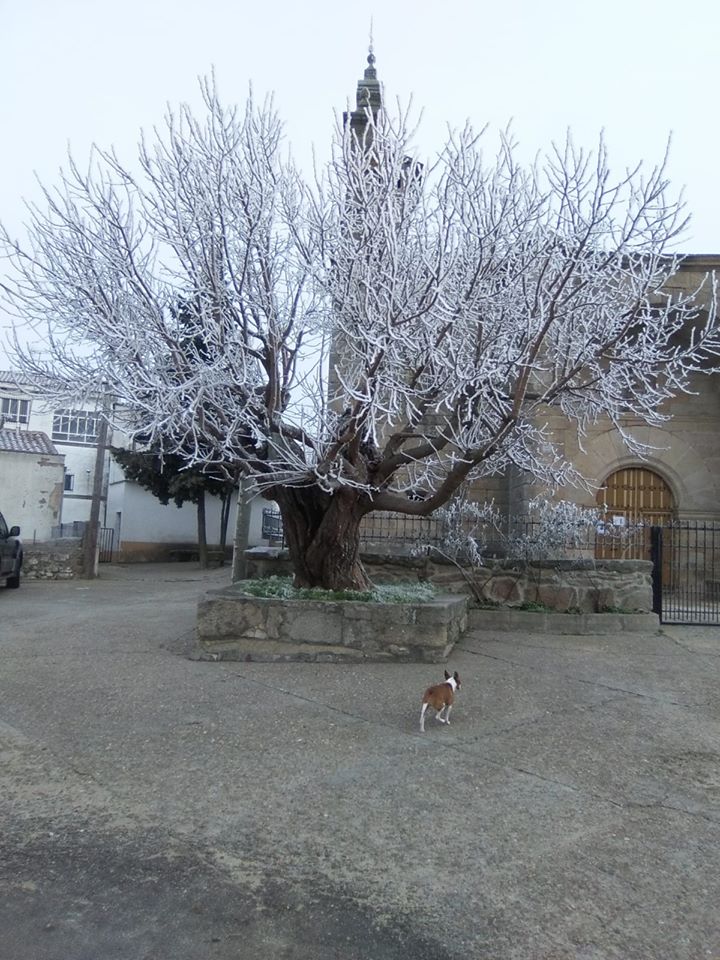 83035444_2487258084921538_7326046319468871680_o