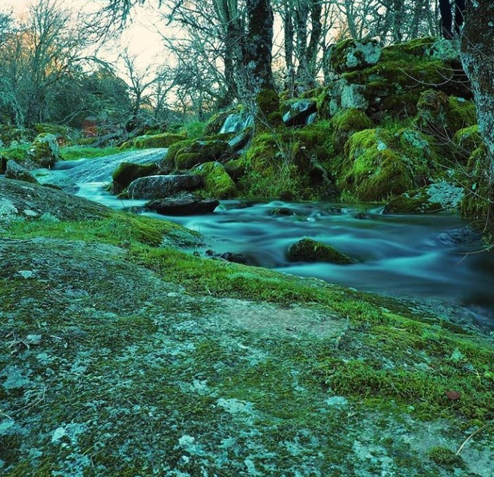 Rivera de Moralina de Sayago