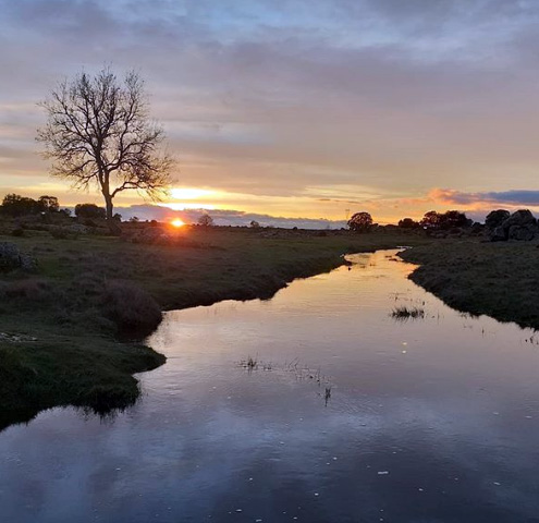 rivera de los molinos de gáname desde el puente el cura