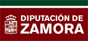 Logo Diputación de Zamora