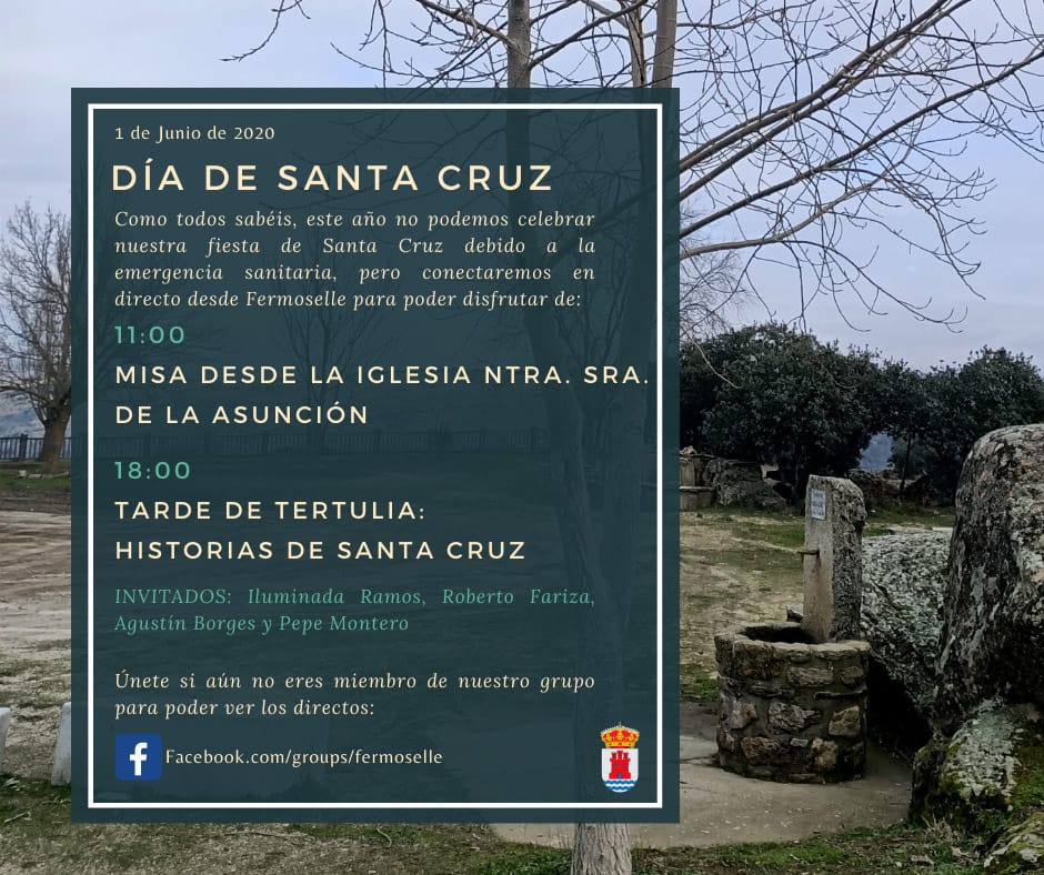 cartel de la festividad de santa cruz 2020 en Fermoselle (Zamora)
