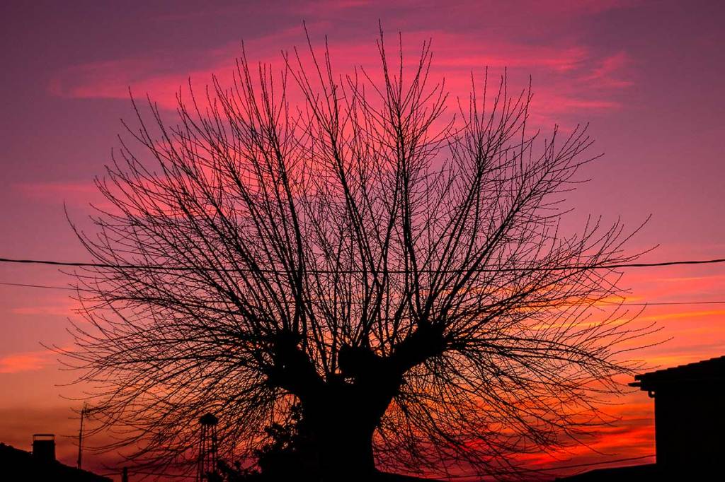 atardecer de otoño en torregamones, comarca de sayago, zamora