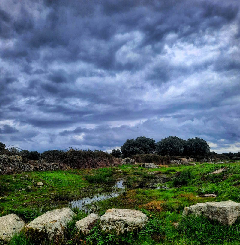 rivera de roelos en otoño, comarca de sayago, provincia de zamora