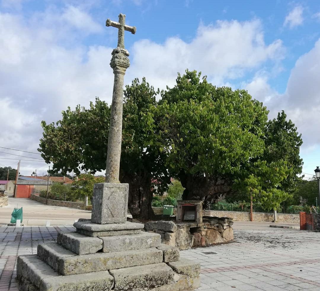 Crucero de la iglesia de San Benito en Palazuelo de Sayago, Zamora