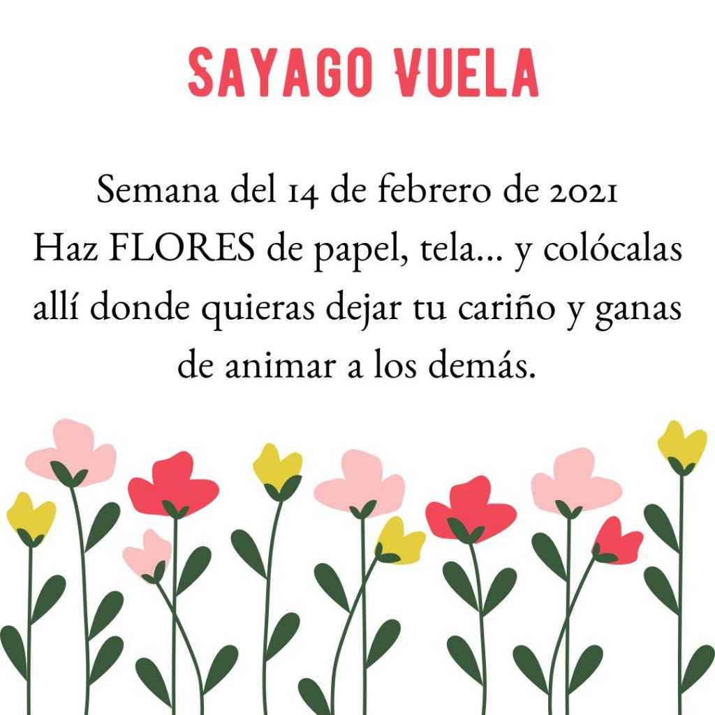 cartel actividad de sayago vuela