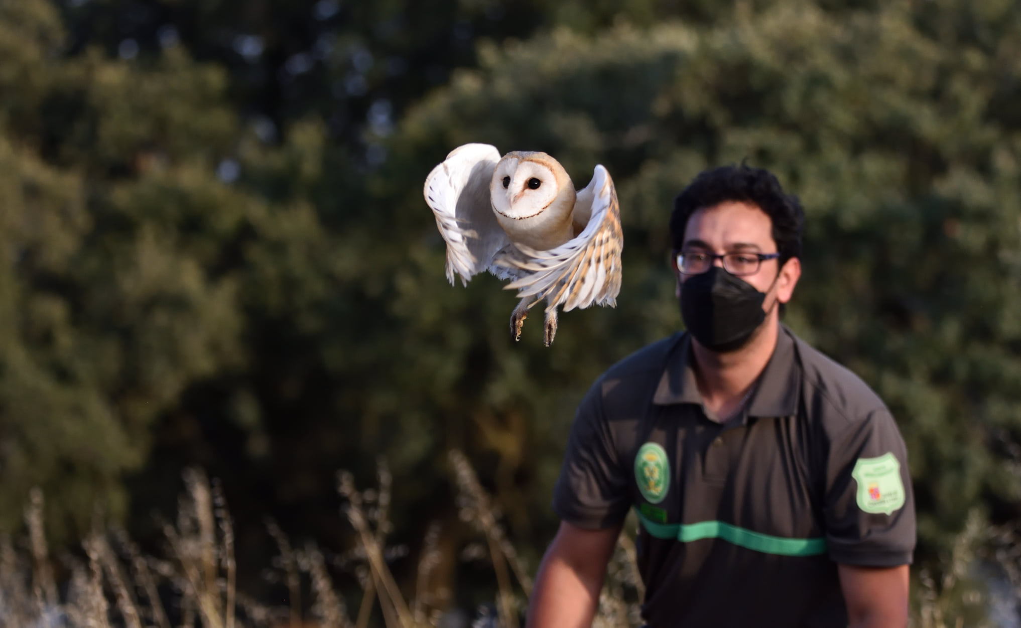 Suelta de lechuza por parte de Agentes de Medio Ambiente en Roelos de Sayago (Zamora)