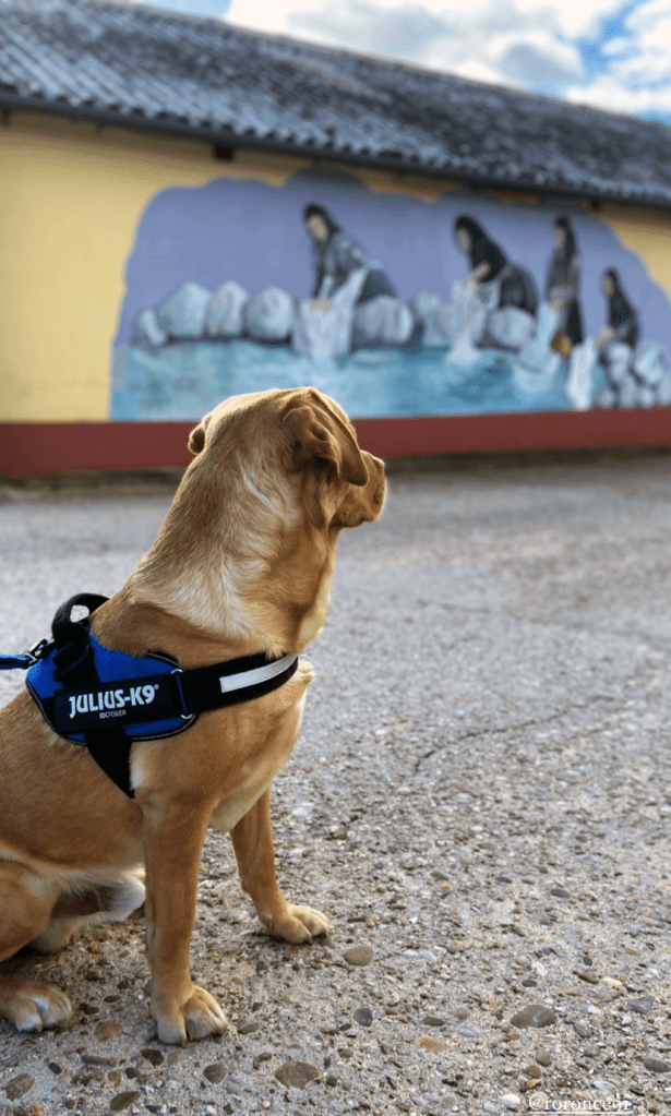 Cachorro de perro junto al mural de las lavanderas de Bermillo de Sayago