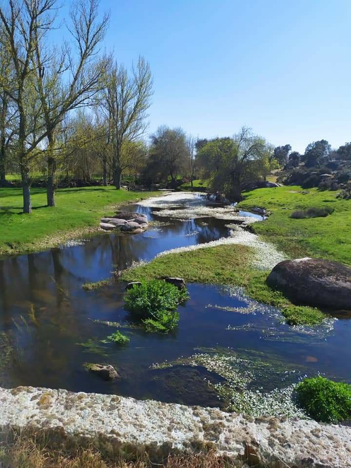 Rivera de Villar del Buey junto al puente que lleva a la dehesa de Villardiegua del Nalso, Zamora