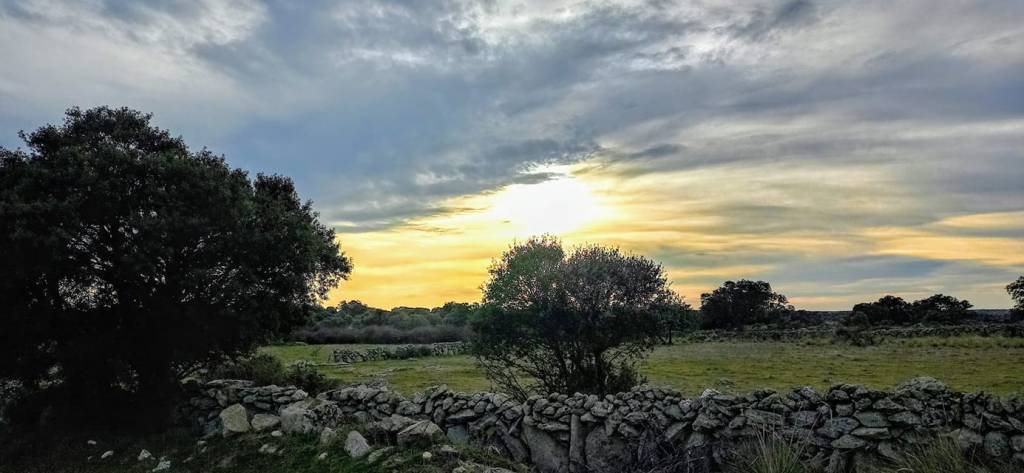 atarceder en sobradillo de palomares, comarca de sayago, zamora
