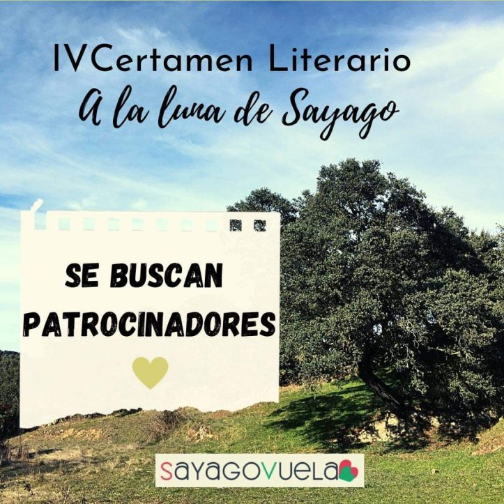 cartel IV Certamen Literario Sayago Vuela