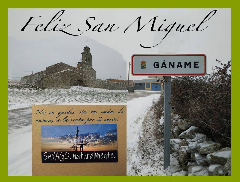 feliz san miguel gáname zamora