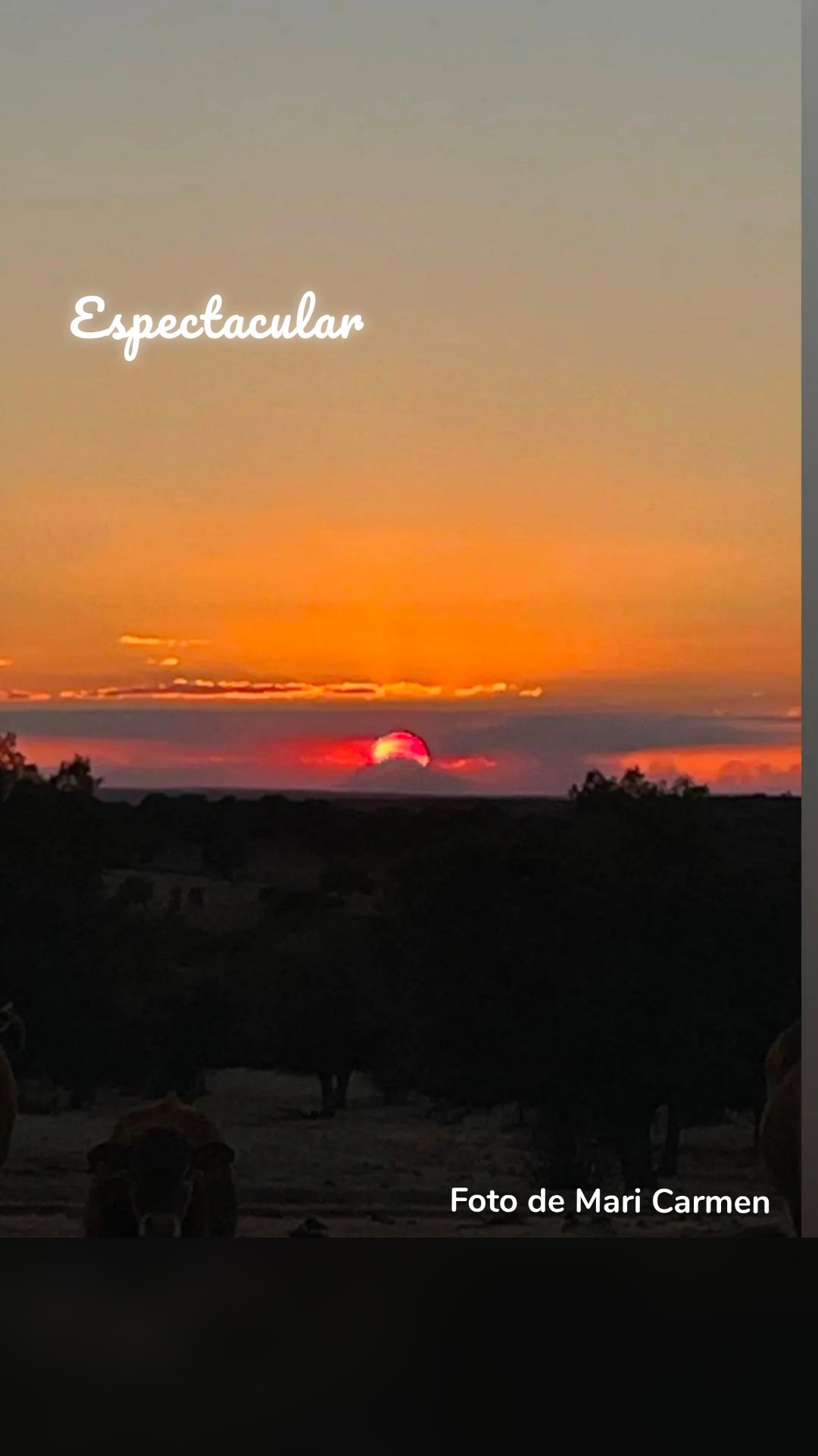 Foto de Mari Carmen Espectacular 