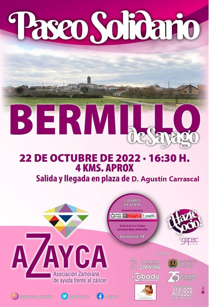 paseo solidatorio asociación zamorana de ayuda contra el cáncer