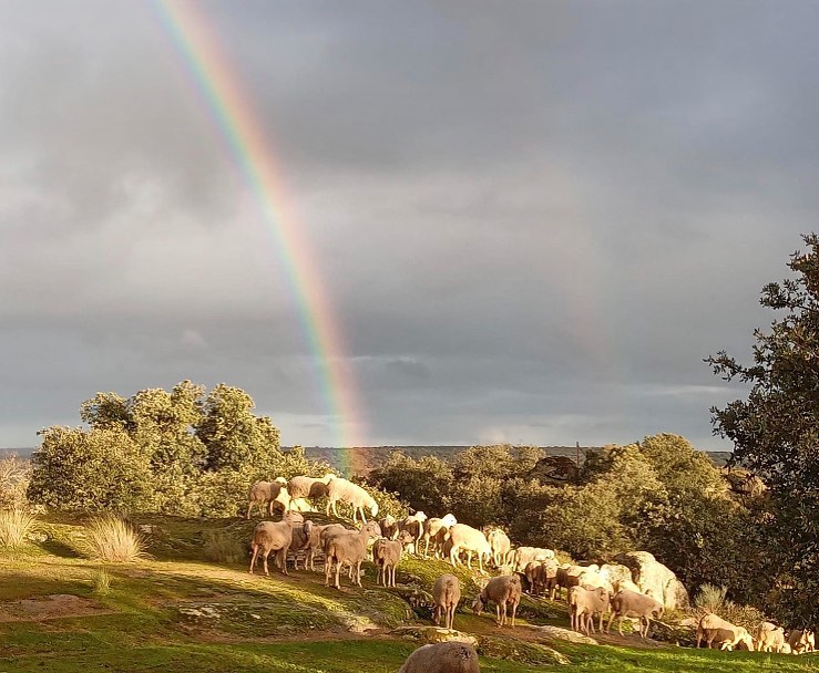 arco iris en otoño en carbellino de sayago, zamora, españa