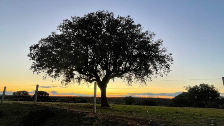 atardecer de invierno en moraleja de sayago, zamora