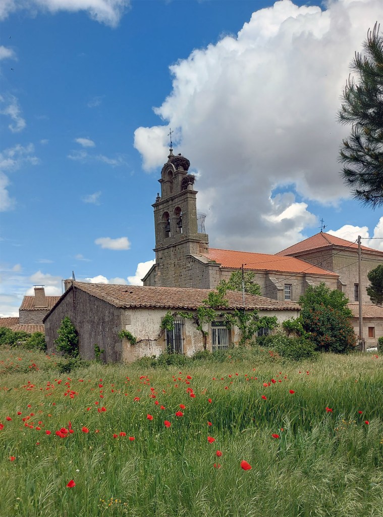 Campo con amapolas con vivienda abandona e iglesia al fondo / Foto de Elvira Fuentes