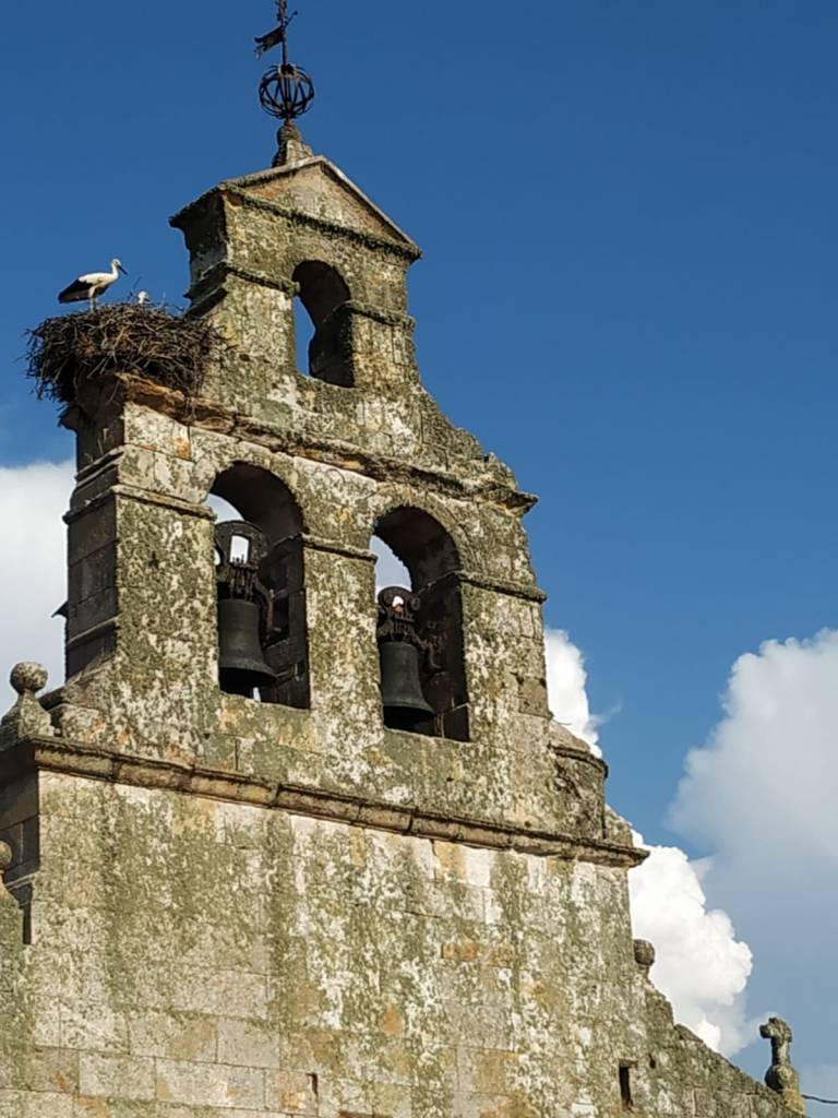 cigueña blanca en el campanario de viúela