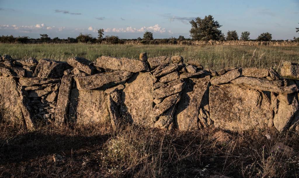 El término cortina designa aquellos solares de aprovechamiento agrícola y/o ganadero que están delimitados por cercas de pared de piedra (mampostería en seco). El conjunto de estas fincas y sus cercas se denomina, a su vez, “cortineo”.
Patrimonio etnográfico sayagués .-Integradas en el paisaje natural adehesado de Sayago, sus cortinas y cortinos (estos de menor tamaño que las primeras) son parte relevante del patrimonio etnográfico de esta comunidad zamorana, rayana con la vecina Portugal. Los kilómetros de pared, en completa armonía con su entorno, llaman de inmediato la atención de sus visitantes, hasta el punto de que muchos las consideran como uno de los elementos que más pueden identificar y diferenciar la cultura sayaguesa.