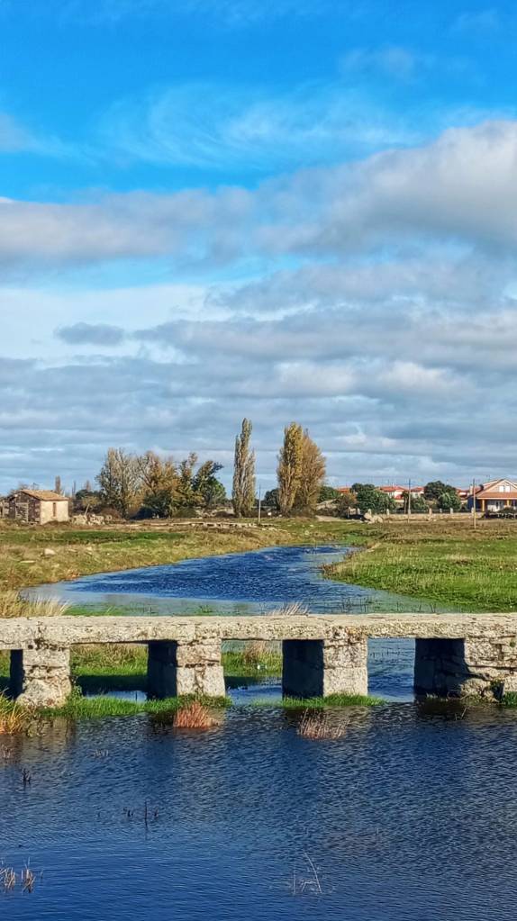 rivera de bermillo de sayago en la zona de La Vega