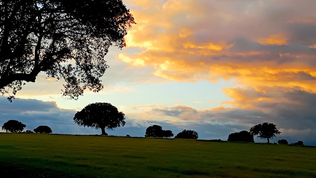 atardecer de enero desde Moraleja de Sayago (Zamora)