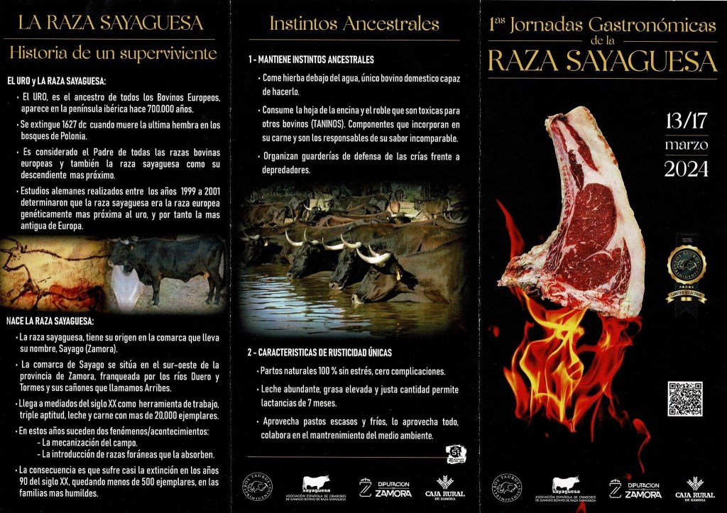 Folleto que describe el origen y las peculiaridades de la carne de raza sayaguesa