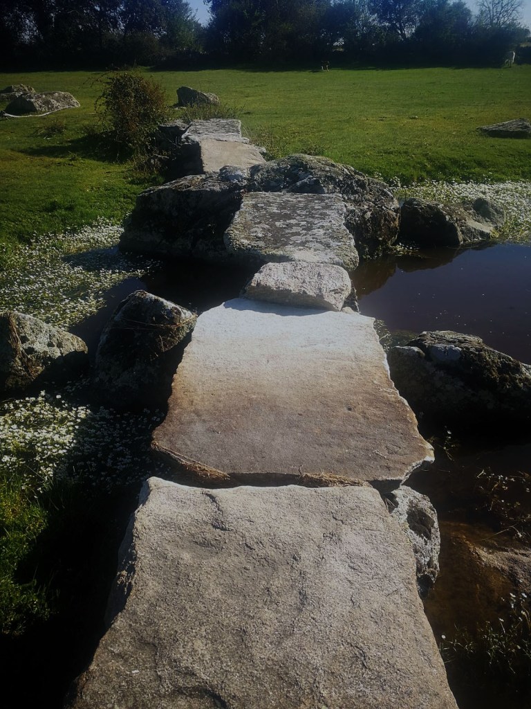 puente rivera escuadro de sayago