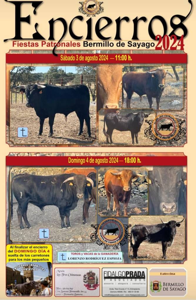 encierros de las fiestas patronales de bermillo de sayago (Zamora) el sábado 3 y domingo 4 de agosto de 2024
