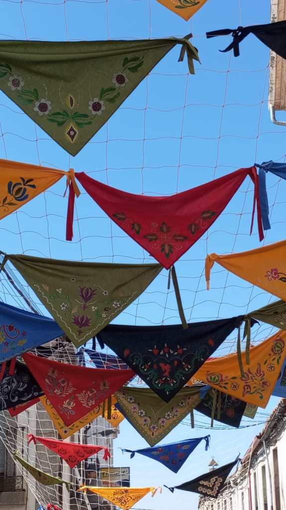 miembros de la mayuela decoran la calle teniente chamorro de bermillo de sayago (Zamora)