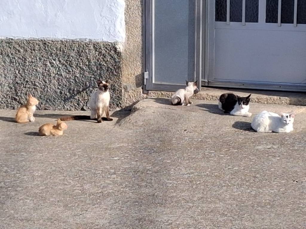 gastos en el casco urbano de Luelmo de Sayago