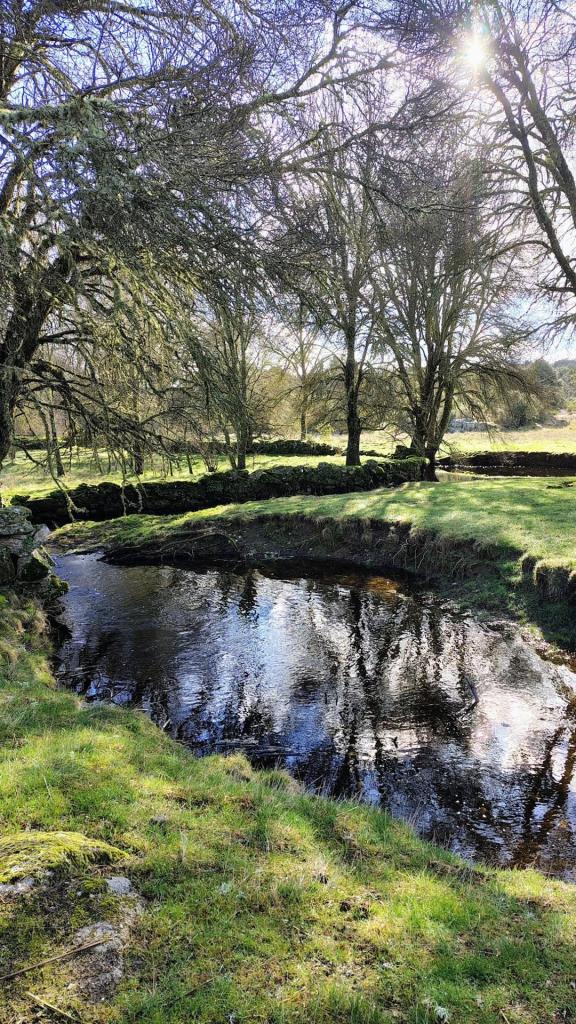 paisajes de rivera en la comarca de Sayago