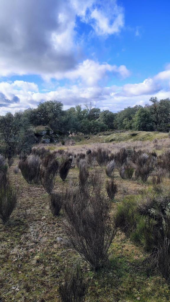 Entorno de la rivera entre Torregamones y Argañín, comarca de Sayago, Zamora
