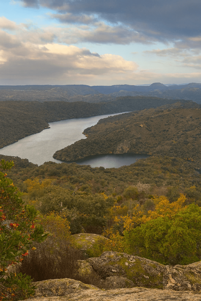 Vista desde el mirador de las escaleras en otoño de 2026