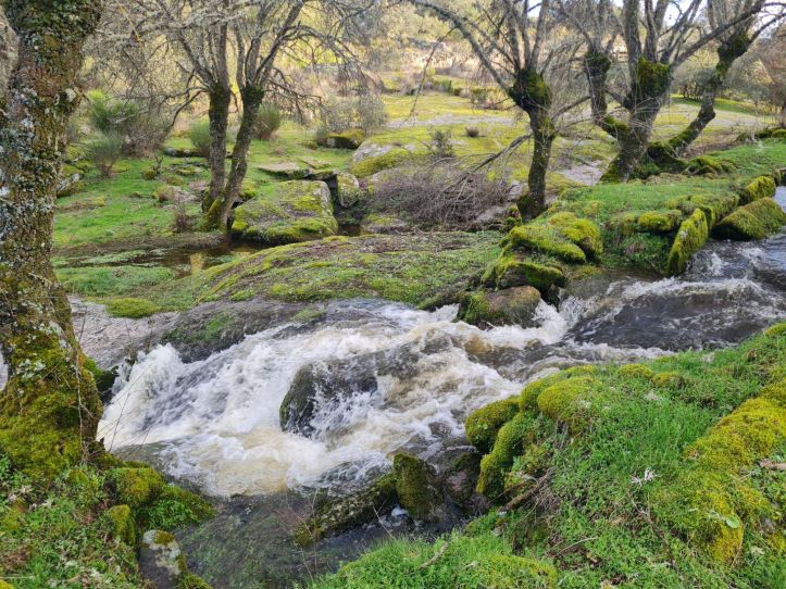 Agua en movimiento en la rivera de Moralina de Sayago (Zamora)