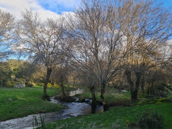 rivera de Moralina de Sayago en invierno antes de la época de lluvias