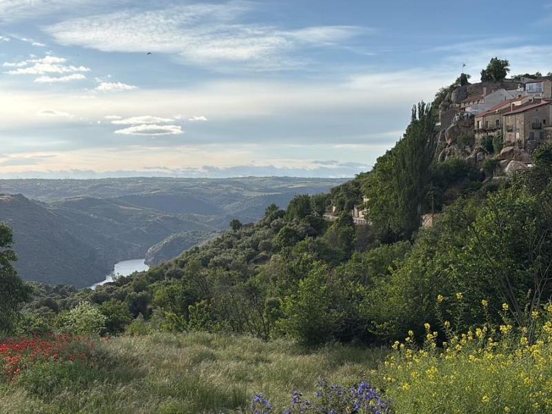 Una vista de Fermoselle que te enamorará