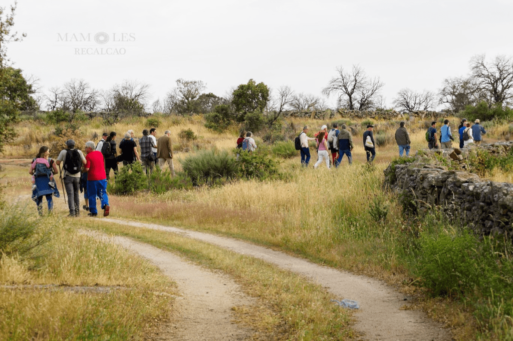 Grupo de personas caminando por un sendero en un paisaje rural con vegetación y un cielo nublado.