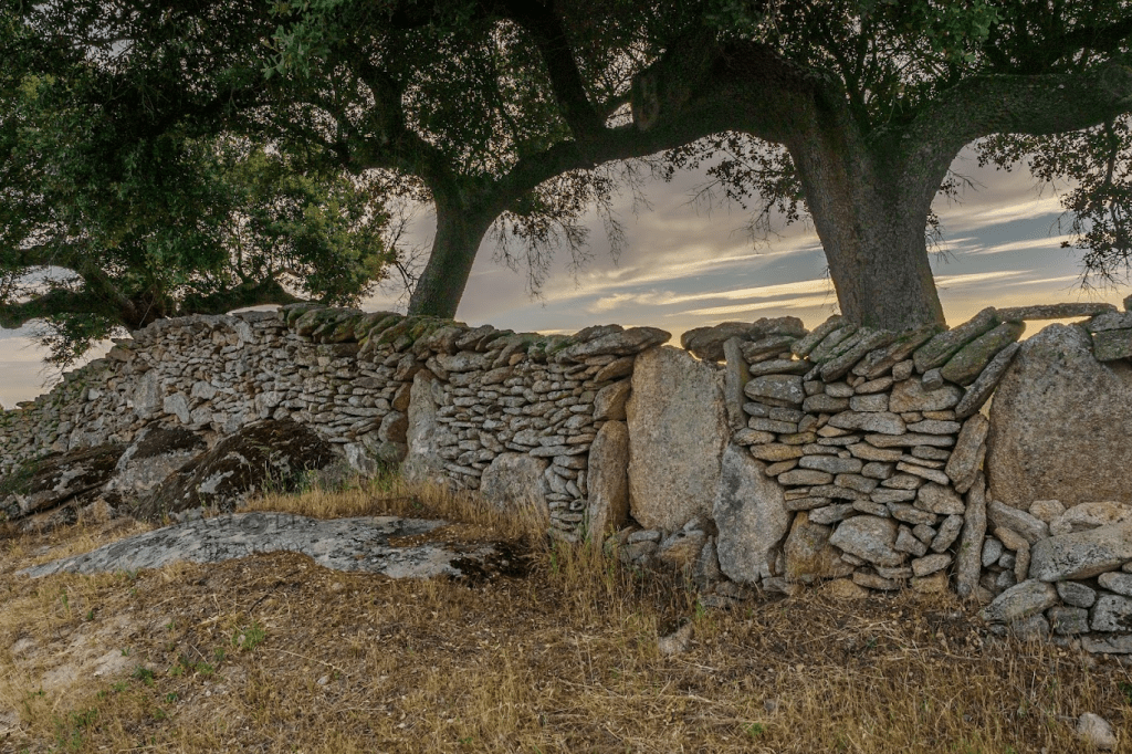 Un muro de piedra antiguo rodeado de árboles, con un cielo atardecido en el fondo.