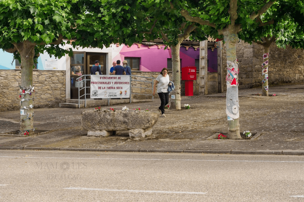 Una mujer caminando por una plaza rodeada de árboles, con un edificio al fondo que tiene un letrero sobre un encuentro de profesionales de la piedra seca.