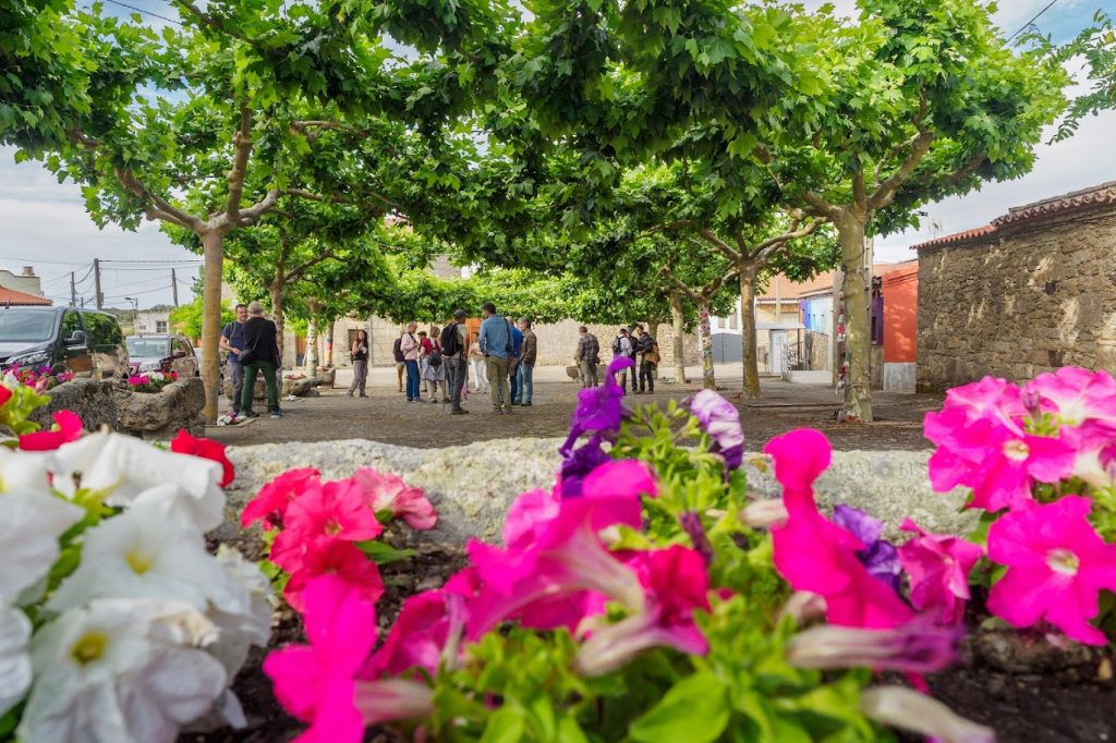 Plaza con árboles frondosos y flores de colores, donde varias personas conversan y disfrutan del ambiente.