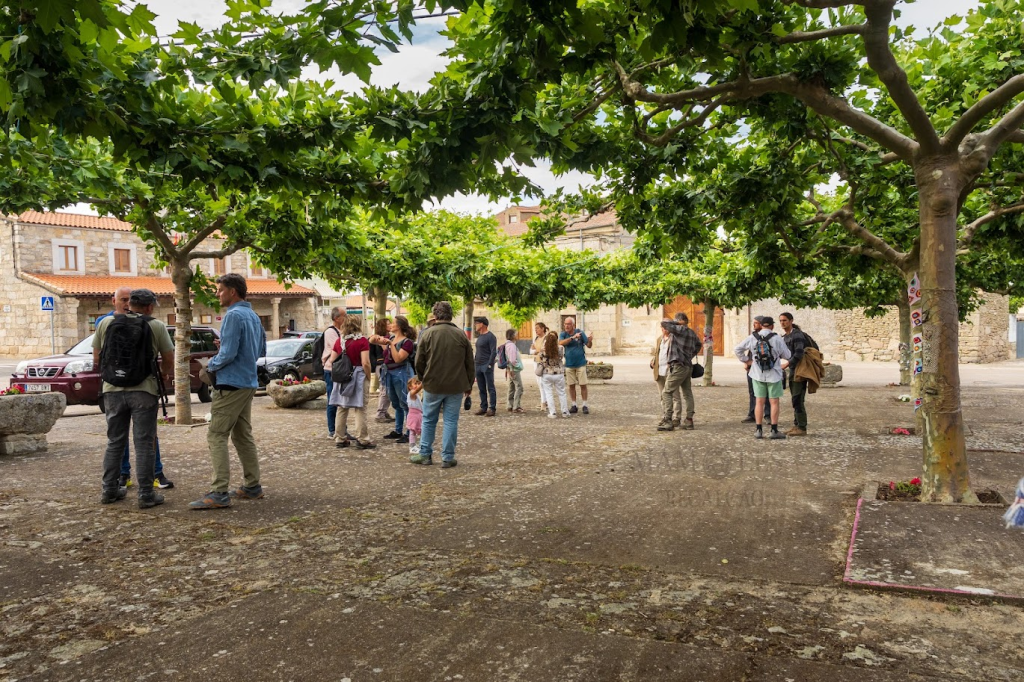 Grupo de personas conversando en una plaza con árboles frondosos y casas de piedra de fondo.